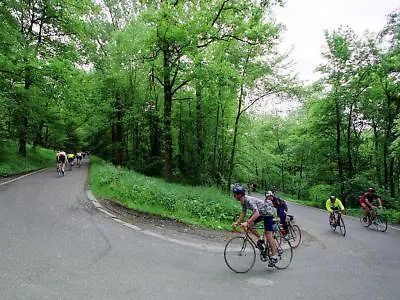 B&B Groepsaccommodatie Heuvelland Oaze * Heijenrath