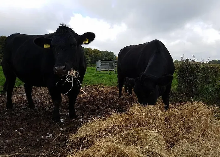 Groepsaccommodatie Heuvelland Oaze *