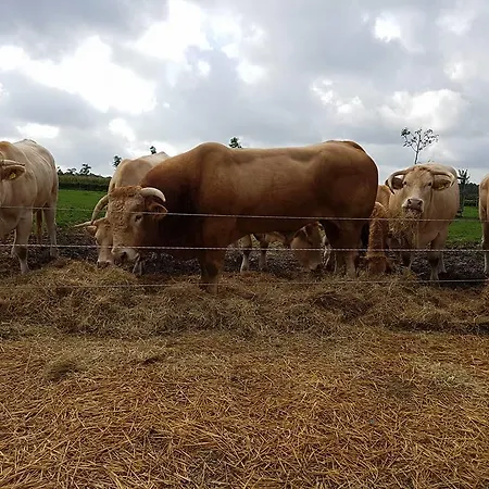 Groepsaccommodatie Heuvelland Oaze בית חווה