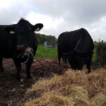 Groepsaccommodatie Heuvelland Oaze *